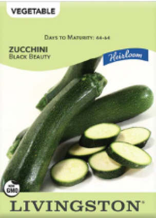ZUCCHINI-HEIRLOOM-BLACK BEA