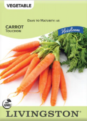 CARROT-HEIRLOOM-TOUCHON