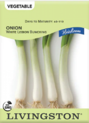 ONION-HEIRLOOM-WHITE LISBON