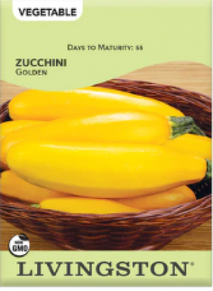 SQUASH - ZUCCHINI GOLDEN