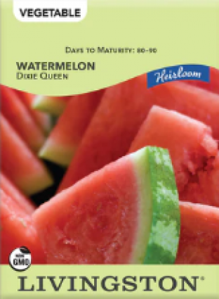 WATERMELON-HEIRLOOM-DIXIE Q