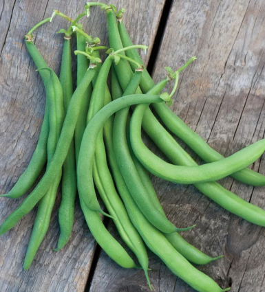 BEAN WHITE HALF RUNNER