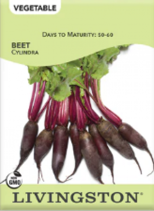 BEET CYLINDRA