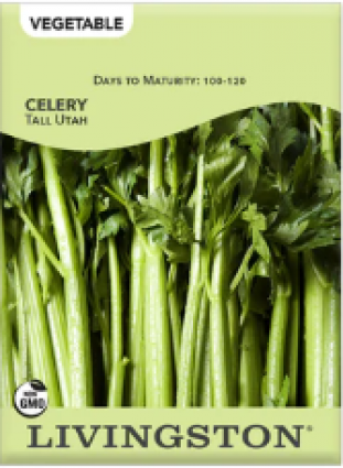 CELERY TALL UTAH