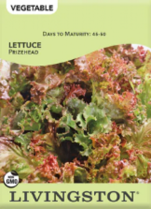 LETTUCE PRIZEHEAD