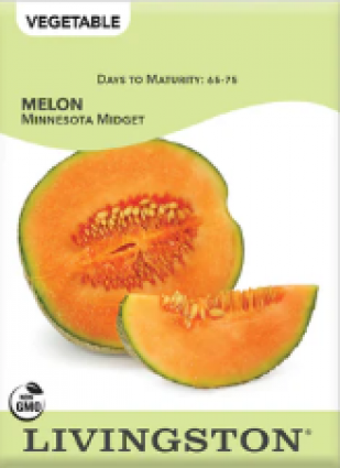 MELON MINNESOTA MIDGET