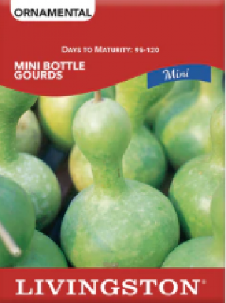 SQUASH MINI BOTTLE GOURDS