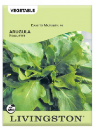 ARUGULA