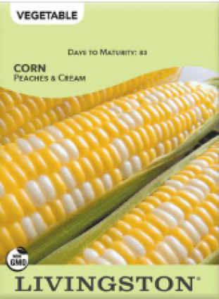 CORN - PEACHES & CREAM MID 3OZ