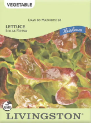 LETTUCE HEIRLOOM LOLLA ROSSA
