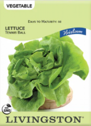 LETTUCE HEIRLOOM TENNIS BALL