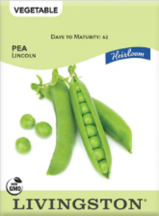 PEA HEIRLOOM LINCOLN