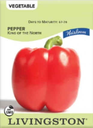 PEPPER HEIRLOOM KING OF THE NORT