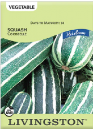SQUASH HEIRLOOM COCOZELLE