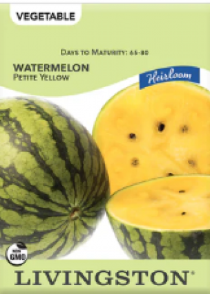 WATERMELON HEIRLOOM PETITE YELLO