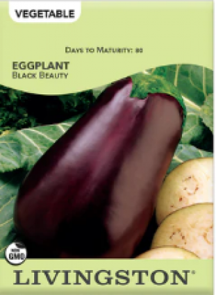 EGGPLANT BLACK BEAUTY