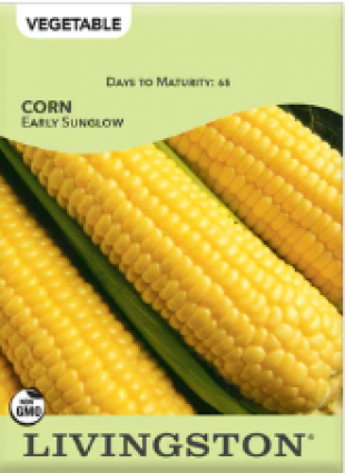 CORN EARLY SUNGLOW 3OZ