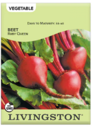 BEET RUBY QUEEN
