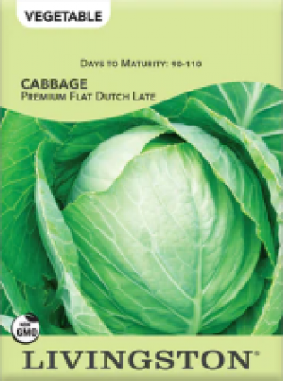 CABBAGE PREMIUM FLAT DUTCH LATE