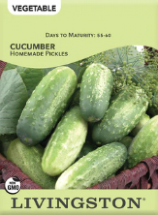 CUCUMBER HOMEMADE PICKLES