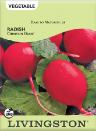 RADISH CRIMSON GIANT