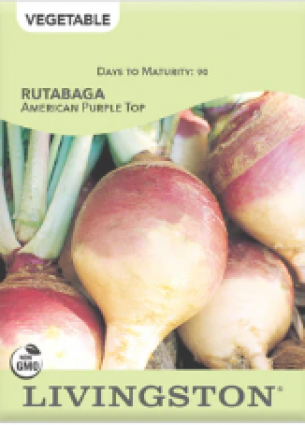 RUTABAGA AMERICAN PURPLE TOP