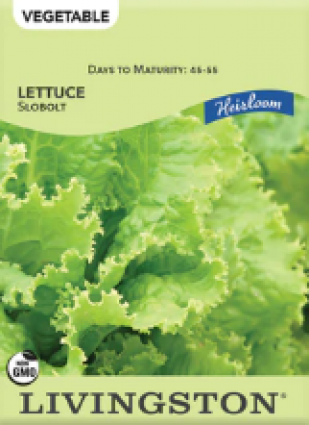 LETTUCE HEIRLOOM SLOBOLT