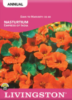 NASTURTIUM EMPRESS OF INDIA