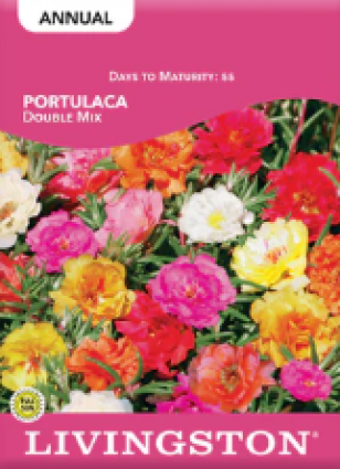 PORTULACA DOUBLE MIX