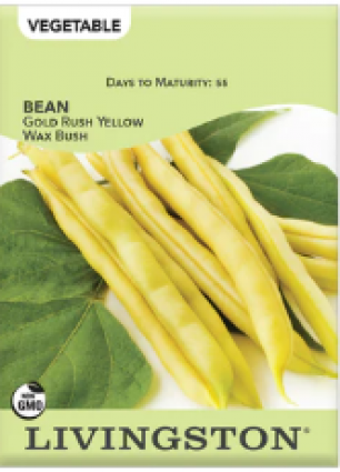 BEAN GOLDRUSH YELLOW WAX  BUSH