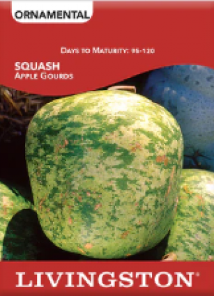 SQUASH APPLE GOURDS