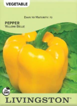 PEPPER YELLOW