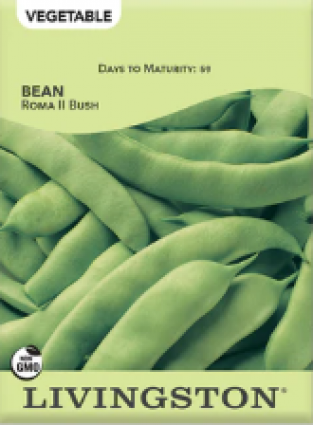 BEAN ROMA II BUSH GREEN