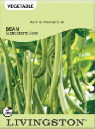 BEAN SLENDERETTE BUSH GREEN