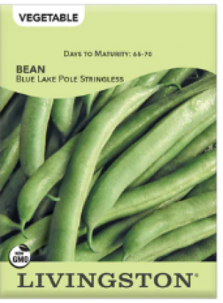 BEAN BLUE LAKE STRNGLESS POL GRN