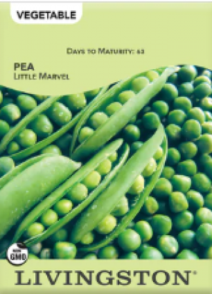 PEA LITTLE MARVEL
