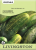 CUCUMBER - BOSTON PICKLING (P)
