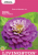 ZINNIA PURPLE PRINCE