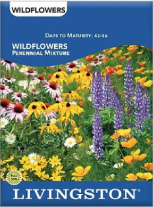 WILDFLOWER PERENNIAL MIXTURE