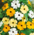 BLACKEYED SUSAN VINE MIX