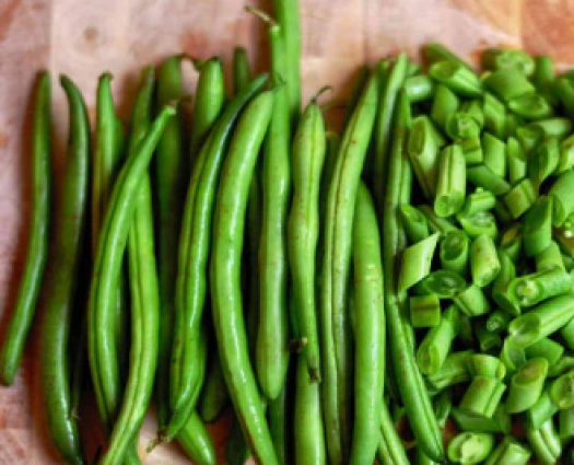 BEAN KENTUCKY WONDER BROWN GREEN