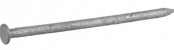 1LB COMM NAIL HD GALV 4" 20D