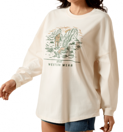 WMS OVERSIZED LS TEE DESERT