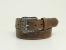 W ARIAT CLASSIC BROWN BELT