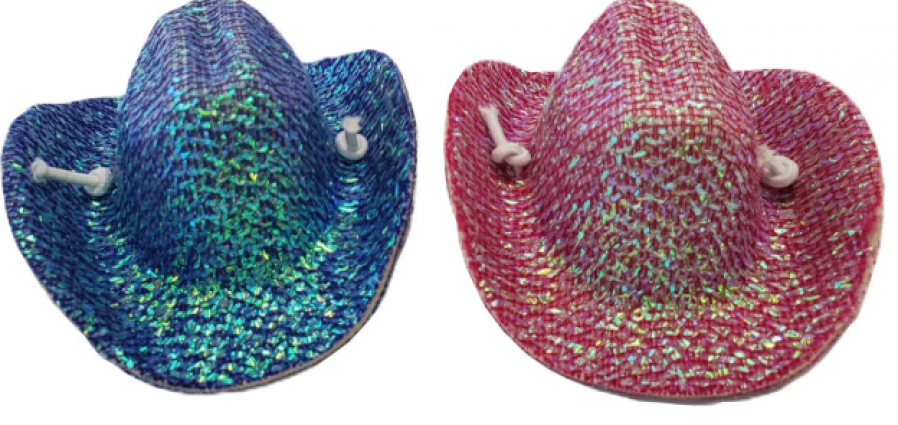 CHICKEN COWBOY HATS PINK & TEAL