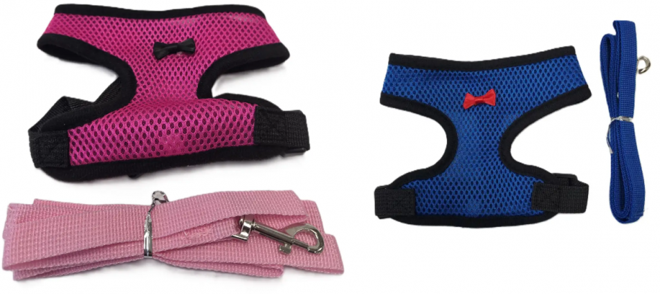 CHICKEN HARNESS & LEASH ASSORTED