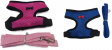 CHICKEN HARNESS & LEASH ASSORTED