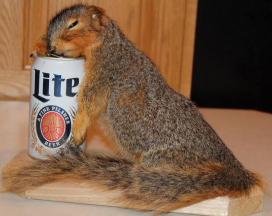 SQUIRREL MOUNT DRUNK