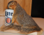 SQUIRREL MOUNT DRUNK