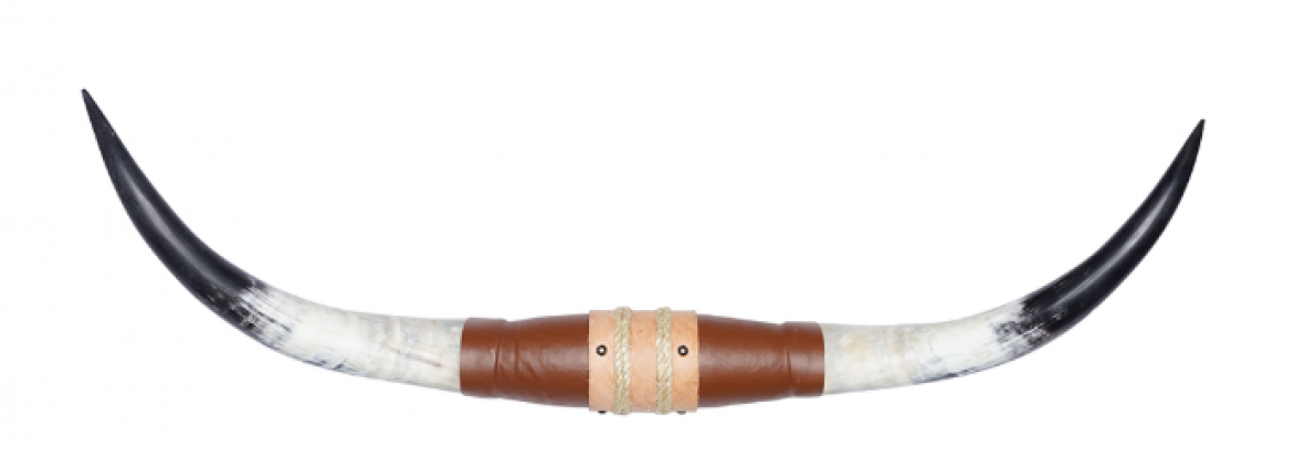 LONGHORN 3-4FT WIDE